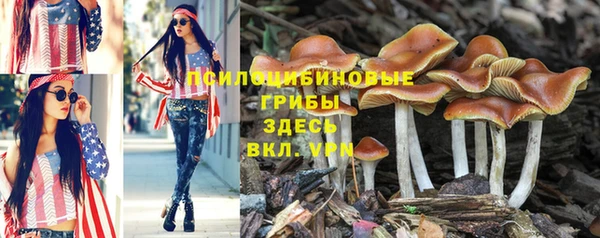 метадон Надым