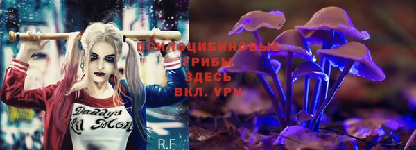крисы Наволоки