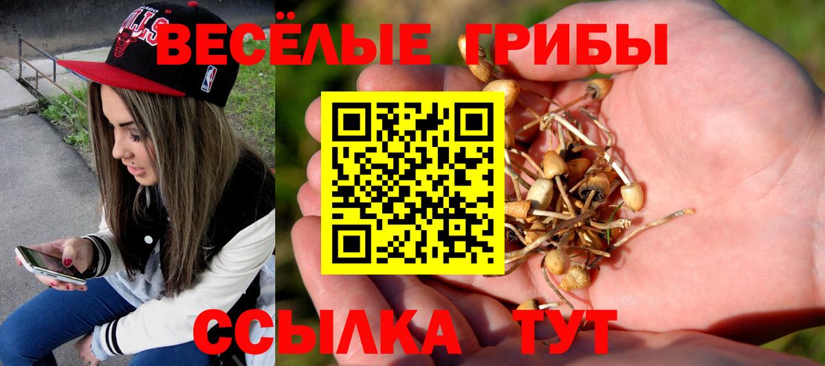 Галлюциногенные грибы MAGIC MUSHROOMS Корсаков