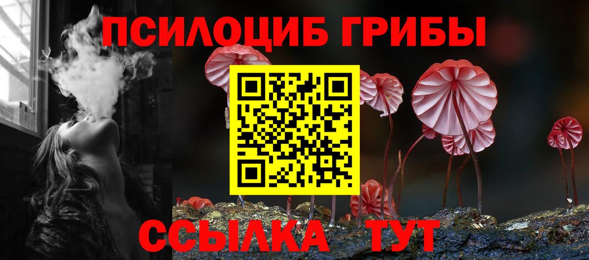 Корсаков  Псилоцибиновые грибы Cubensis  наркотики  Вход с VPN 